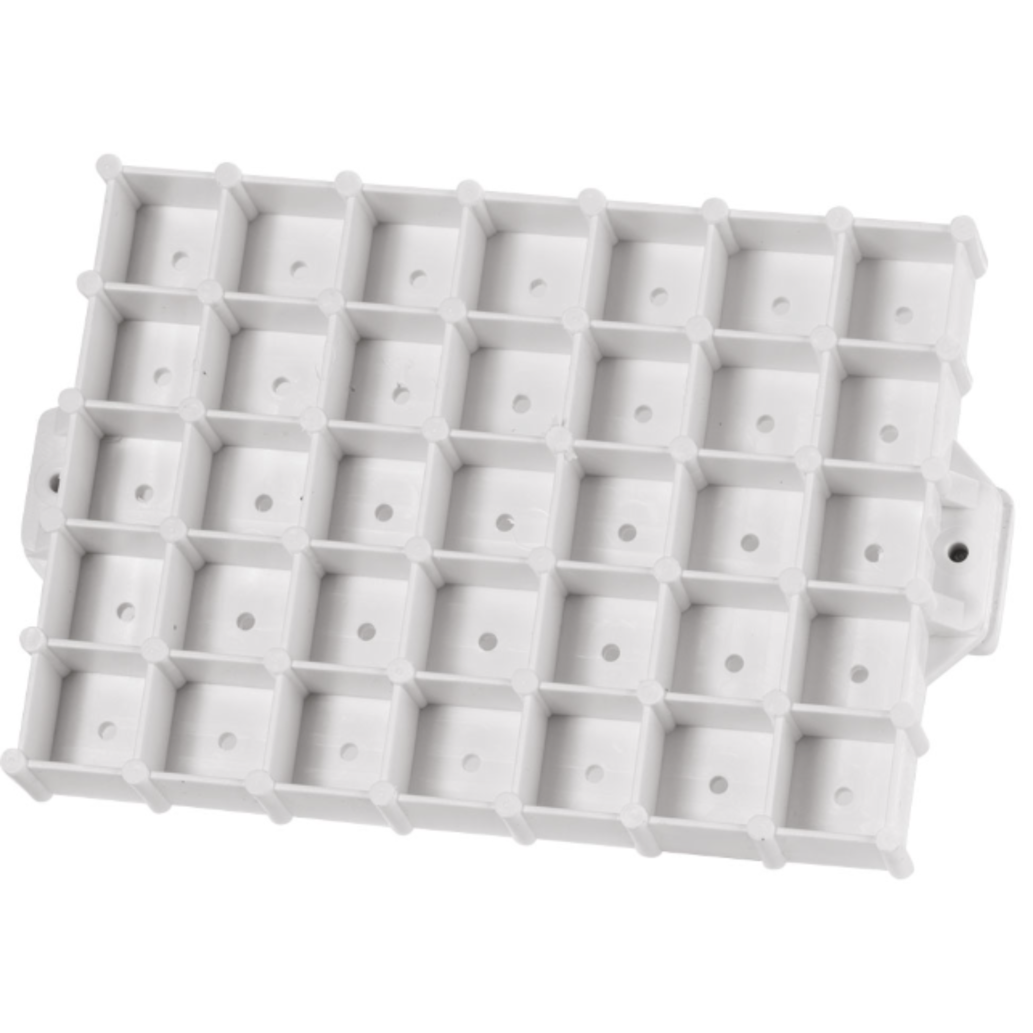 Stampo per pane tartaruga quadrato