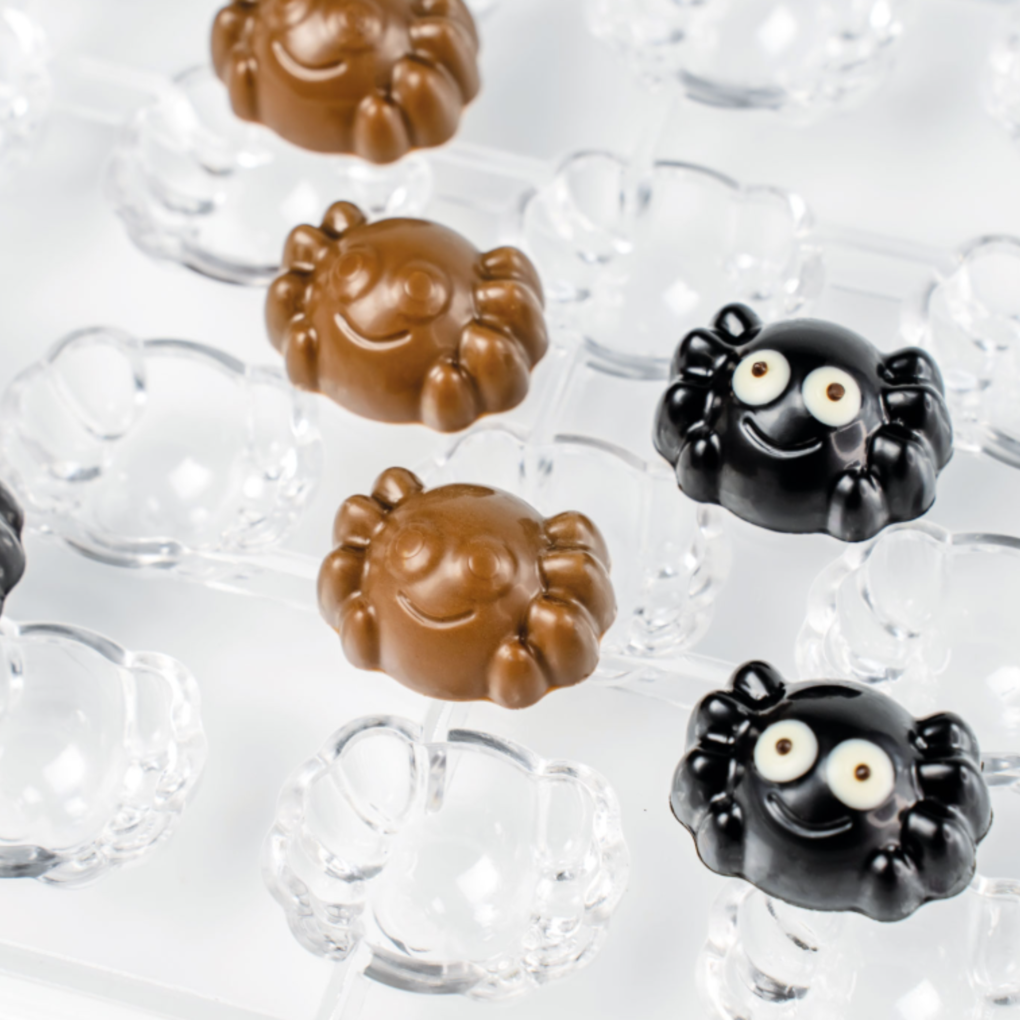 Stampo praline Whisky